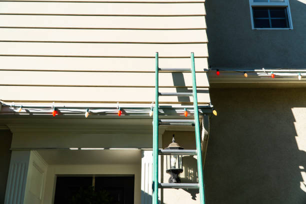 Best Siding Painting and Refinishing  in Horseshoe Bend, AR