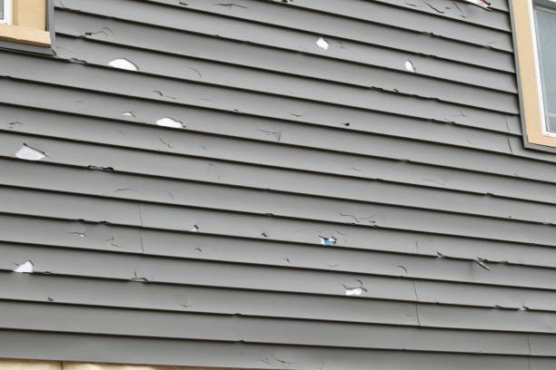 Siding Removal and Disposal in Horseshoe Bend, AR