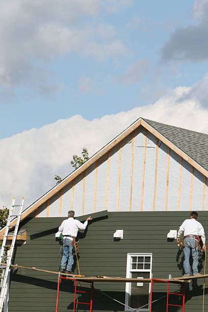 Best Brick Veneer Siding  in Horseshoe Bend, AR